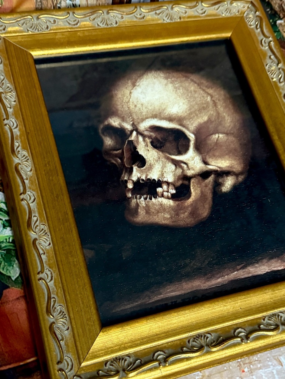 🔥Momento Mori Skull Art Death Pagan Mythology Magic Vintage Baroque Frame💀✨